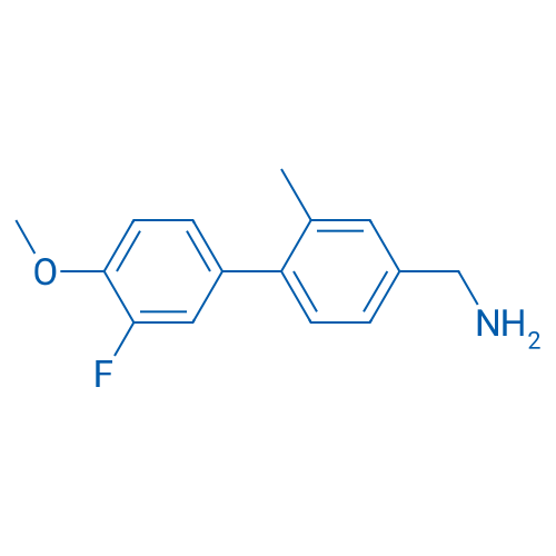 (3'-Fluoro-4'-methoxy-2-methyl-[1,1'-biphenyl]-4-yl)methanamine 1g
