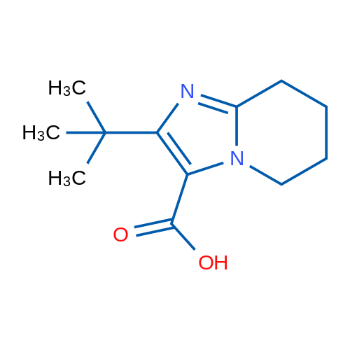 2-tert-Butyl-5H,6H,7H,8H-imidazo[1,2-a]pyridine-3-carboxylic acid 1g