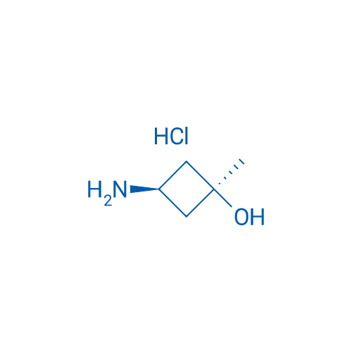 cis-3-Amino-1-methylcyclobutanol hydrochloride 1g