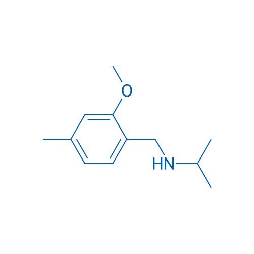 N-(2-Methoxy-4-methylbenzyl)propan-2-amine 1g