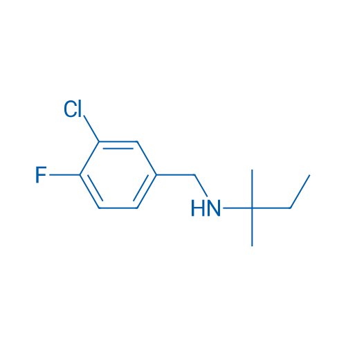 [(3-Chloro-4-fluorophenyl)methyl](2-methylbutan-2-yl)amine 5g