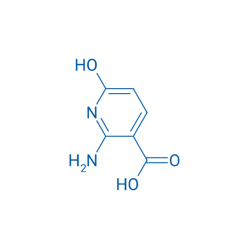 2-amino-6-hydroxypyridine-3-carboxylic acid 10g