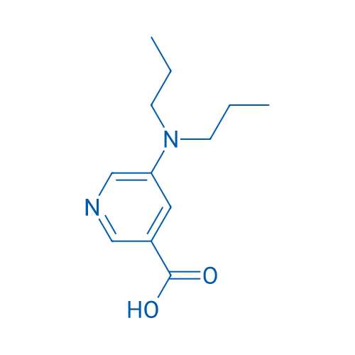 5-(Dipropylamino)pyridine-3-carboxylic acid 1g