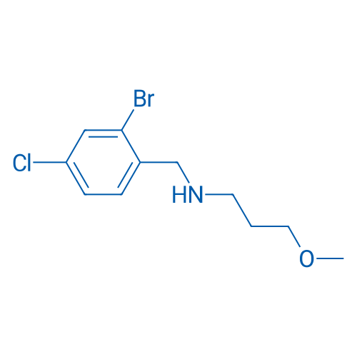 [(2-Bromo-4-chlorophenyl)methyl](3-methoxypropyl)amine 1g