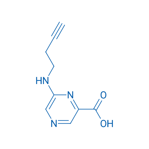 6-[(But-3-yn-1-yl)amino]pyrazine-2-carboxylic acid 1g
