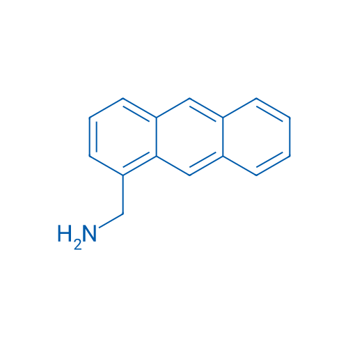 Anthracen-1-ylmethanamine 1g