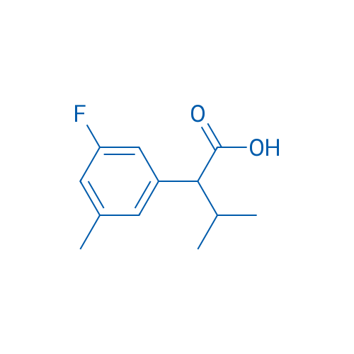 2-(3-Fluoro-5-methylphenyl)-3-methylbutanoic acid 1g