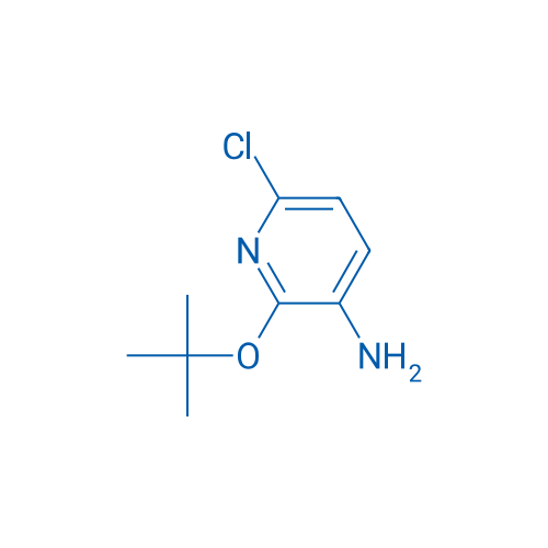 2-(tert-Butoxy)-6-chloropyridin-3-amine 1g