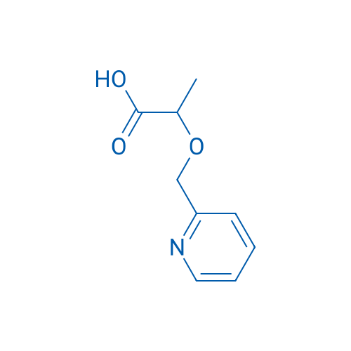 2-[(Pyridin-2-yl)methoxy]propanoic acid 1g