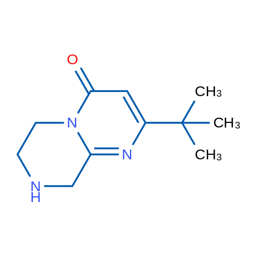 2-tert-Butyl-4H,6H,7H,8H,9H-pyrimido[1,2-a]piperazin-4-one 1g