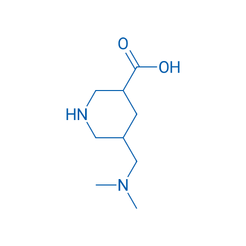 5-[(Dimethylamino)methyl]piperidine-3-carboxylic acid 1g