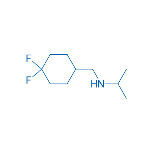 [(4,4-Difluorocyclohexyl)methyl](propan-2-yl)amine 1g