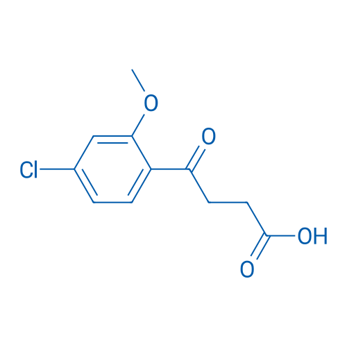 4-(4-Chloro-2-methoxyphenyl)-4-oxobutyric acid 1g
