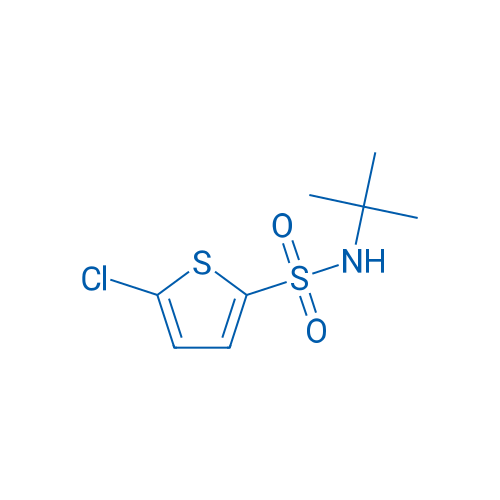 5-Chlorothiophene-2-sulfonic acid tert-butylamide 1g