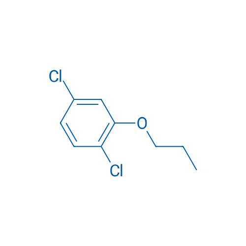 1,4-DIchloro-2-propoxybenzene 1g