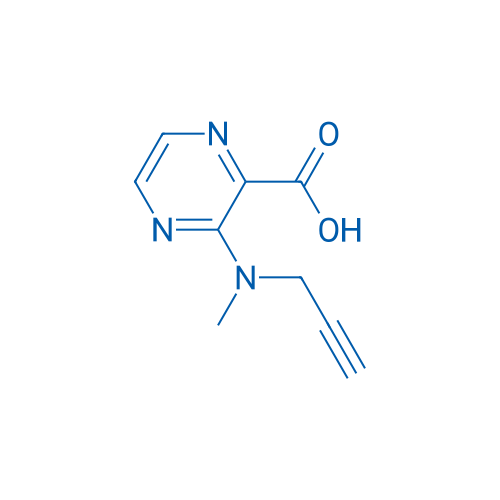 3-[Methyl(prop-2-yn-1-yl)amino]pyrazine-2-carboxylic acid 1g