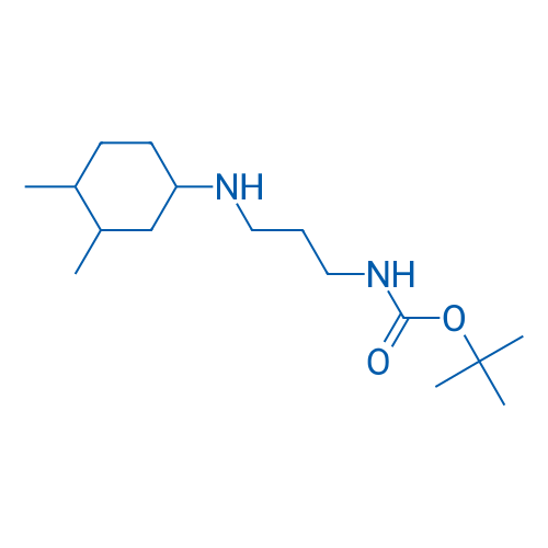 tert-Butyl N-{3-[(3,4-dimethylcyclohexyl)amino]propyl}carbamate 1g