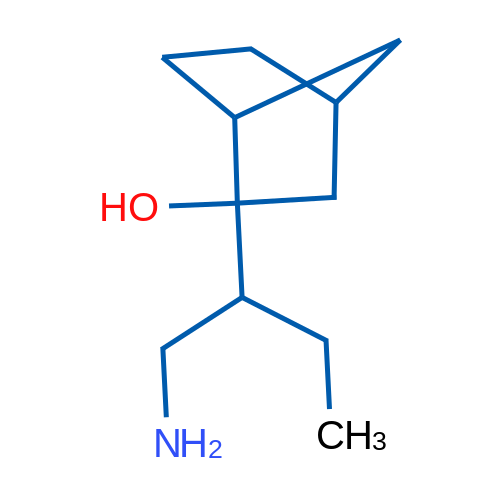 2-(1-Aminobutan-2-yl)bicyclo[2.2.1]heptan-2-ol 1g