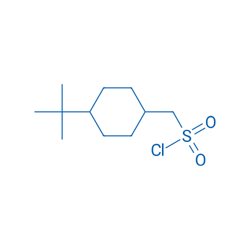 (4-tert-Butylcyclohexyl)methanesulfonyl chloride 1g