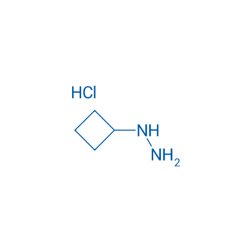 1-Cyclobutylhydrazine hydrochloride 1g