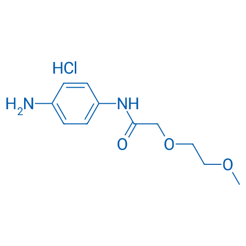 N-(4-Aminophenyl)-2-(2-methoxyethoxy)acetamide hydrochloride 1g