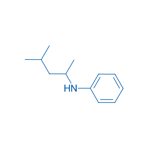 N-(4-Methylpentan-2-yl)aniline 1g