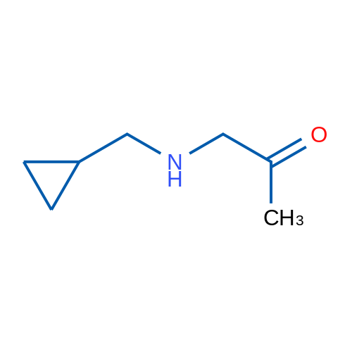 1-[(Cyclopropylmethyl)amino]propan-2-one 1g