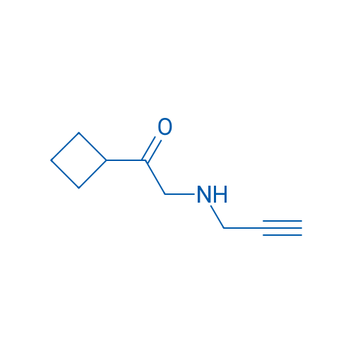 1-Cyclobutyl-2-[(prop-2-yn-1-yl)amino]ethan-1-one 1g