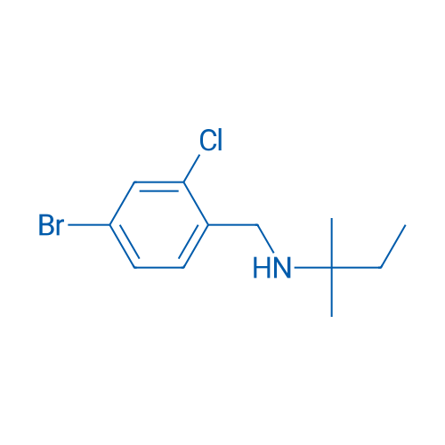 [(4-Bromo-2-chlorophenyl)methyl](2-methylbutan-2-yl)amine 5g
