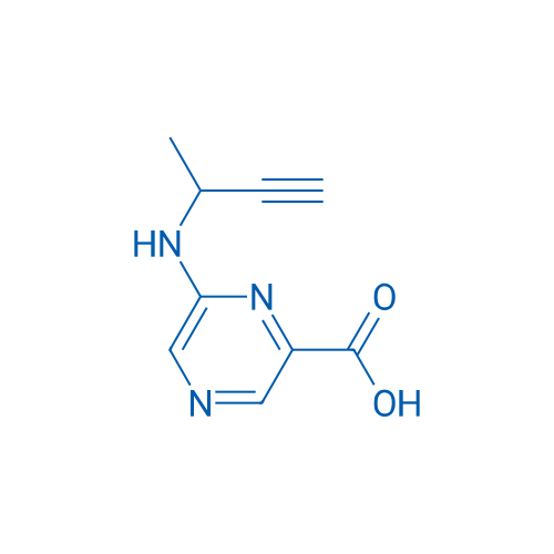 6-[(But-3-yn-2-yl)amino]pyrazine-2-carboxylic acid 1g