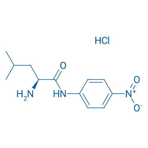L-Leucyl-4-nitroanilide HCl 1g