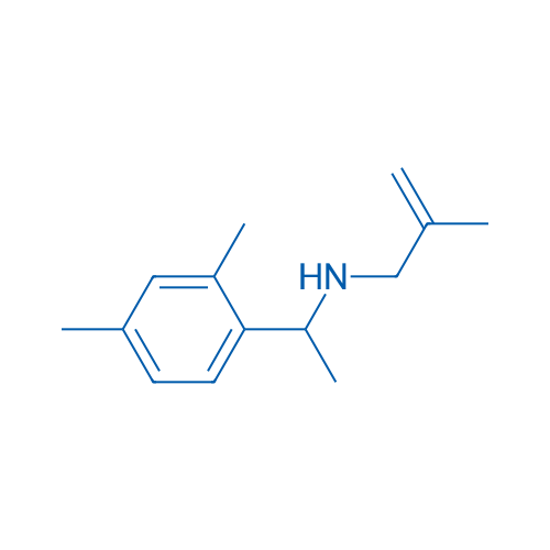[1-(2,4-Dimethylphenyl)ethyl](2-methylprop-2-en-1-yl)amine 1g