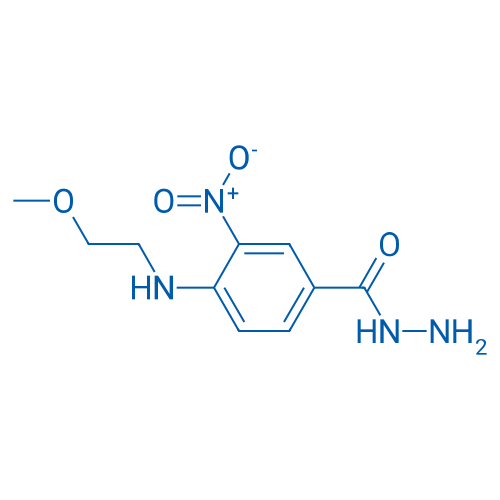 4-((2-Methoxyethyl)amino)-3-nitrobenzohydrazide 1g