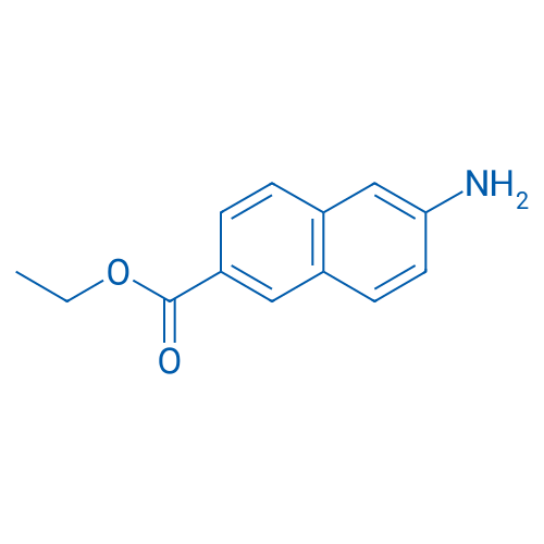 Ethyl 6-amino-2-naphthoate 250mg