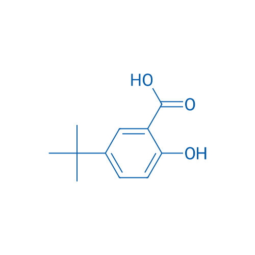 5-tert-Butyl-2-hydroxybenzoic Acid 250mg