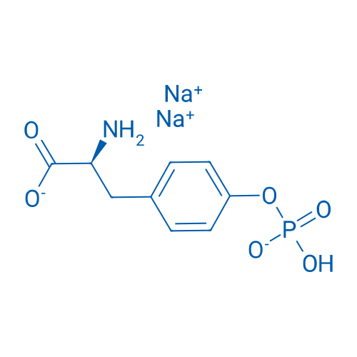 H-Phospho-Tyr-OH·2Na 10g