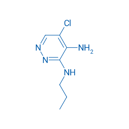 5-Chloro-N3-propylpyridazine-3,4-diamine 1g