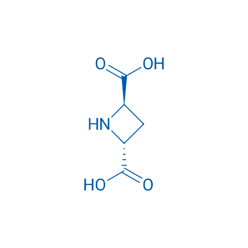 (2R,4R)-Azetidine-2,4-dicarboxylic acid 250mg