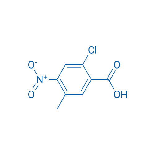 2-Chloro-5-methyl-4-nitrobenzoic acid 1g
