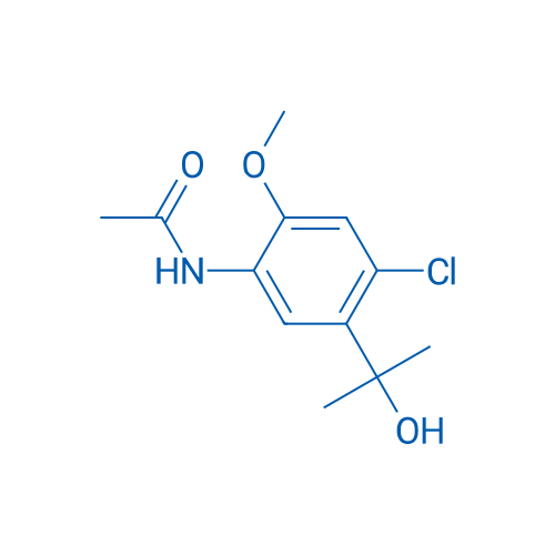 N-[4-chloro-5-(1-hydroxy-1-methylethyl)-2-methoxyphenyl]acetamide 1g