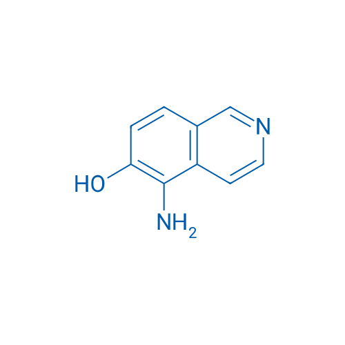 5-Aminoisoquinolin-6-ol 1g