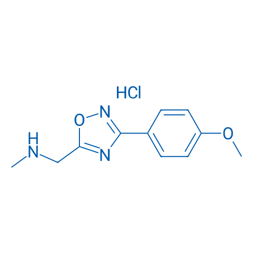 {[3-(4-methoxyphenyl)-1,2,4-oxadiazol-5-yl]methyl}(methyl)amine hydrochloride 1g