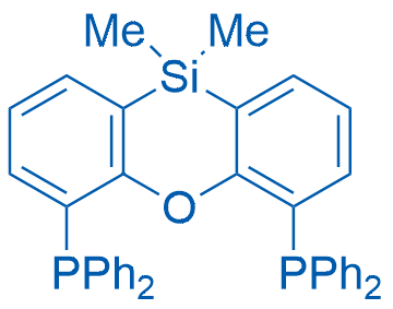 (10,10-Dimethyl-10H-dibenzo[b,e][1,4]oxasiline-4,6-diyl)bis(diphenylphosphine) 250mg