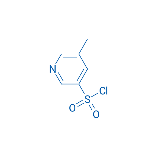 5-Methyl-3-pyridinesulfonyl chloride 100mg