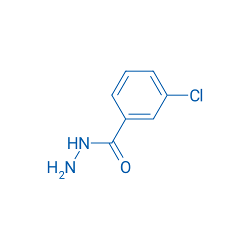 3-Chlorobenzhydrazide 25g