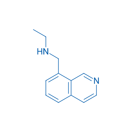 Ethyl[(isoquinolin-8-yl)methyl]amine 1g