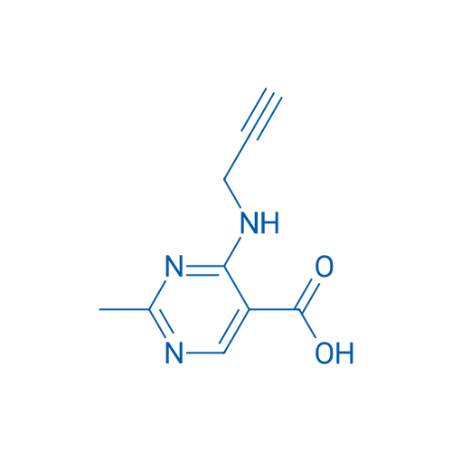 2-Methyl-4-[(prop-2-yn-1-yl)amino]pyrimidine-5-carboxylic acid 1g