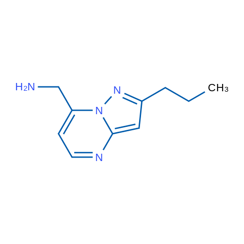 {2-propylpyrazolo[1,5-a]pyrimidin-7-yl}methanamine 1g
