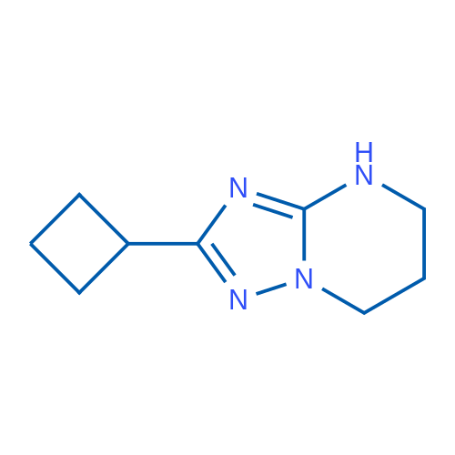2-Cyclobutyl-4H,5H,6H,7H-[1,2,4]triazolo[1,5-a]pyrimidine 1g