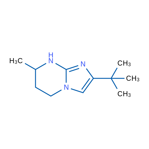 2-tert-Butyl-7-methyl-5H,6H,7H,8H-imidazo[1,2-a]pyrimidine 1g